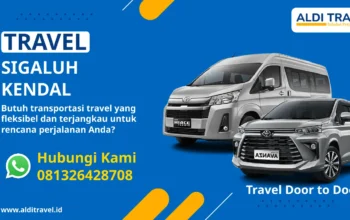 Travel Sigaluh Kendal